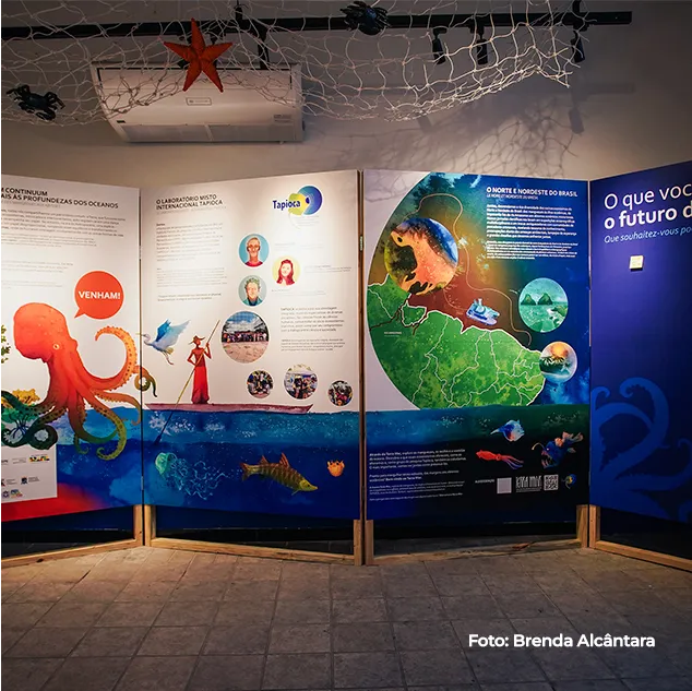 Painéis ilustrados da exposição sobre a vida marinha