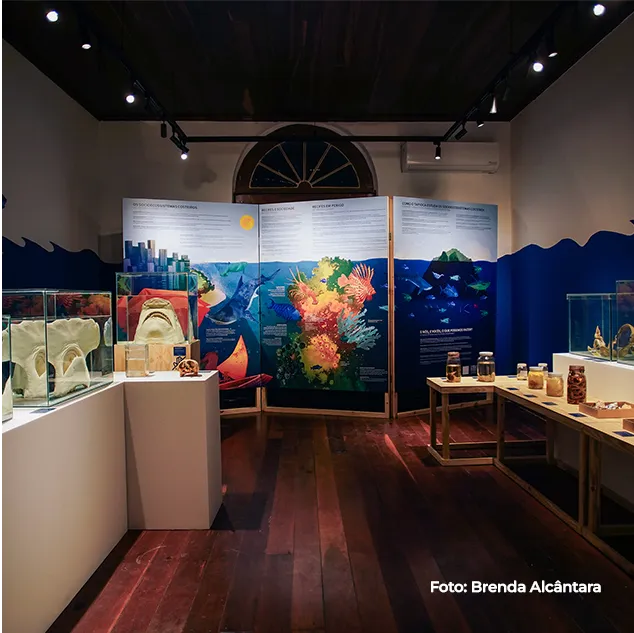 Vista ampla da exposição, com piso de madeira e mural azul