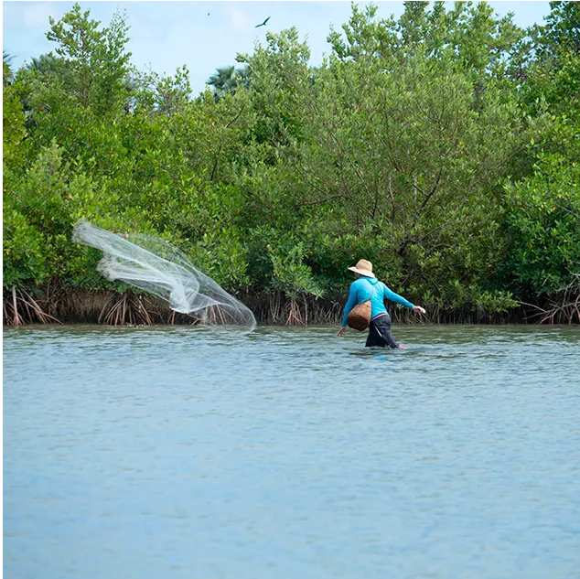 Pescador lança a tarrafa no rio junto ao mangue
