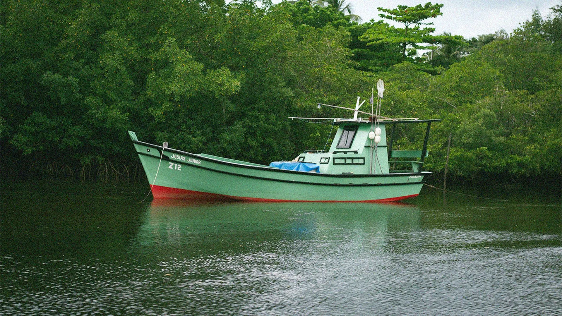 Barco de pesca verde ancorado no rio, cercado de mangue