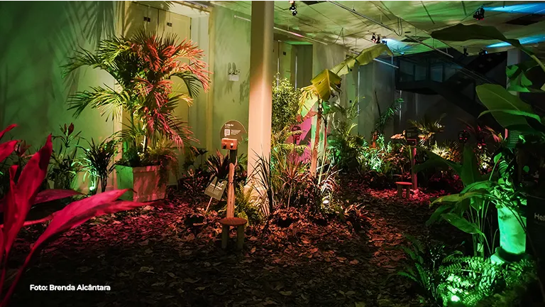 Instalação de plantas iluminada em tons de verde e rosa