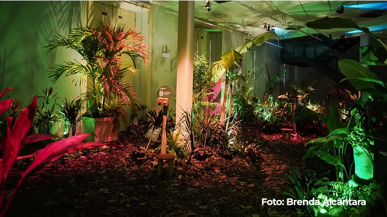 Instalação de plantas vista de outro ângulo